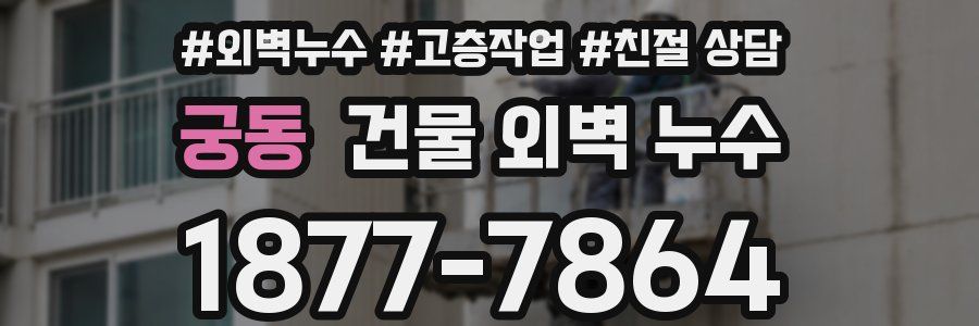 궁동 건물 외벽 누수