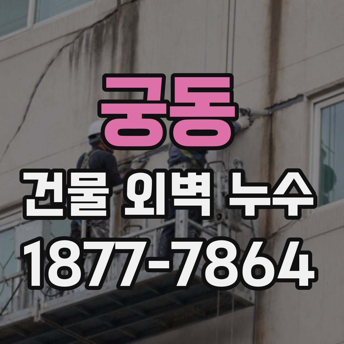 궁동 건물 외벽 누수