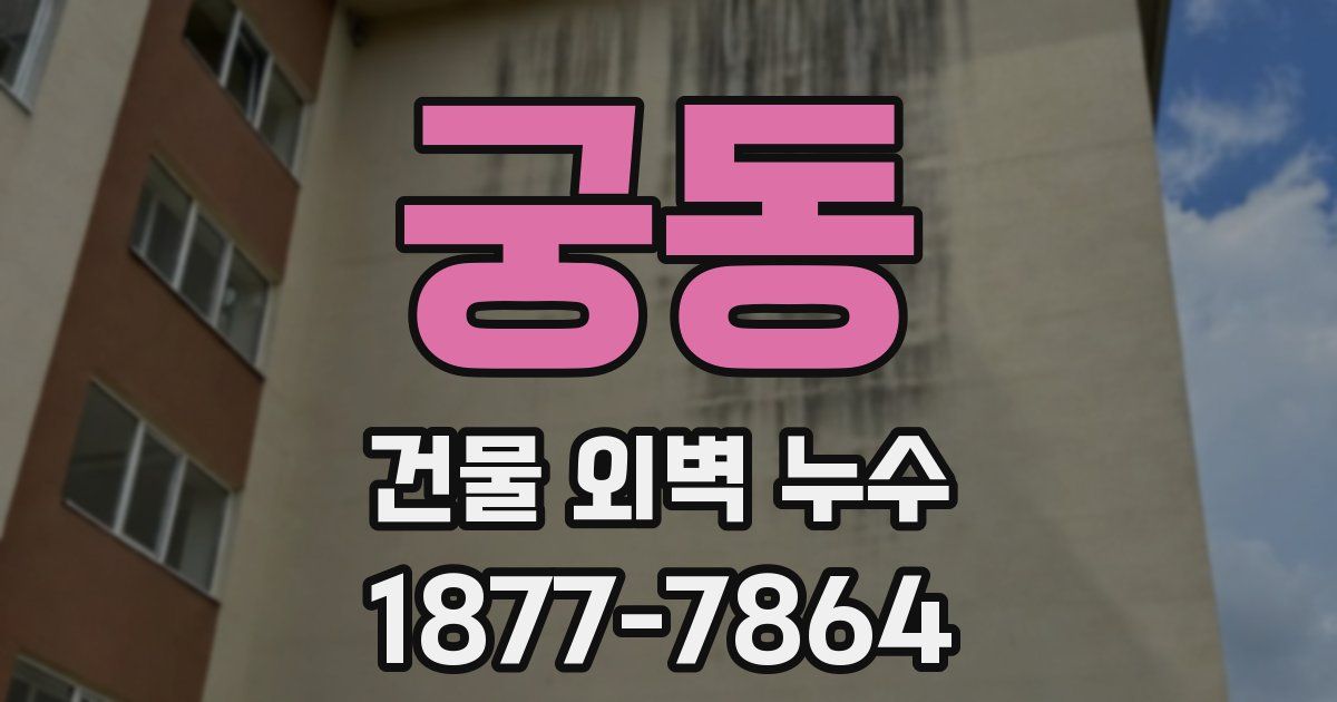 궁동 건물 외벽 누수