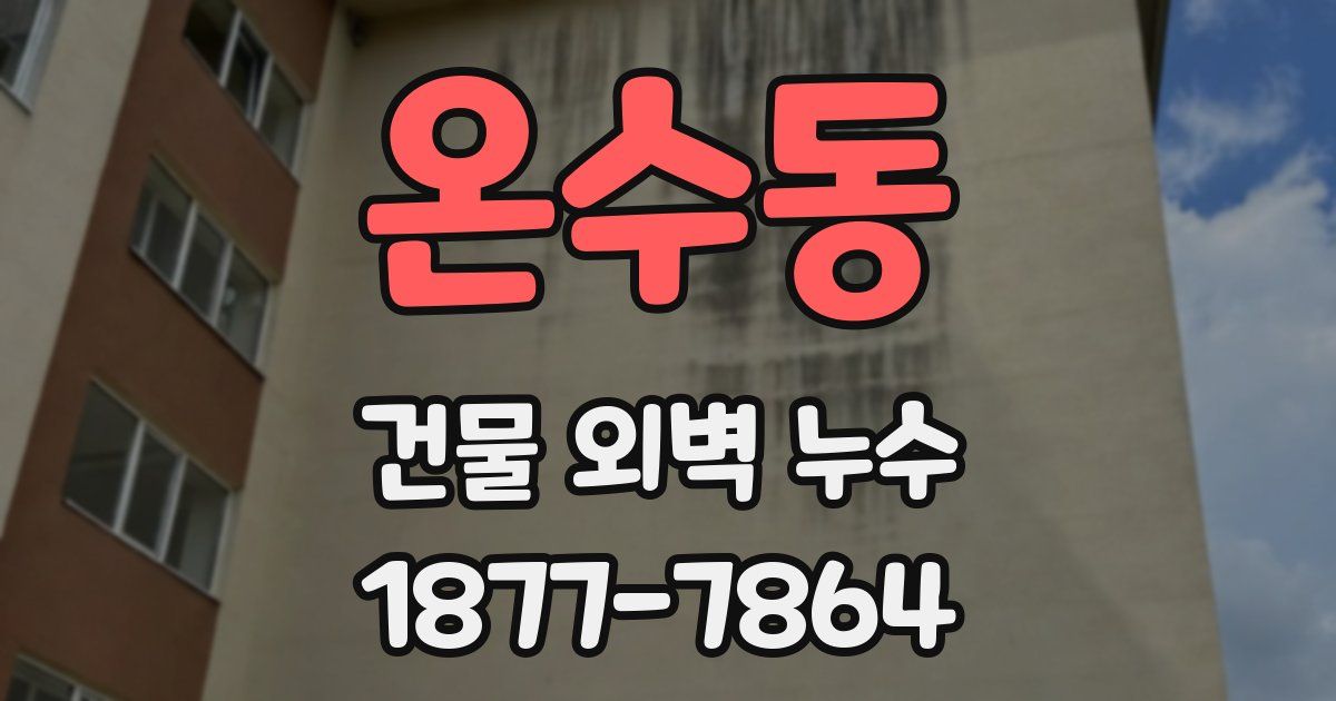 온수동 건물 외벽 누수