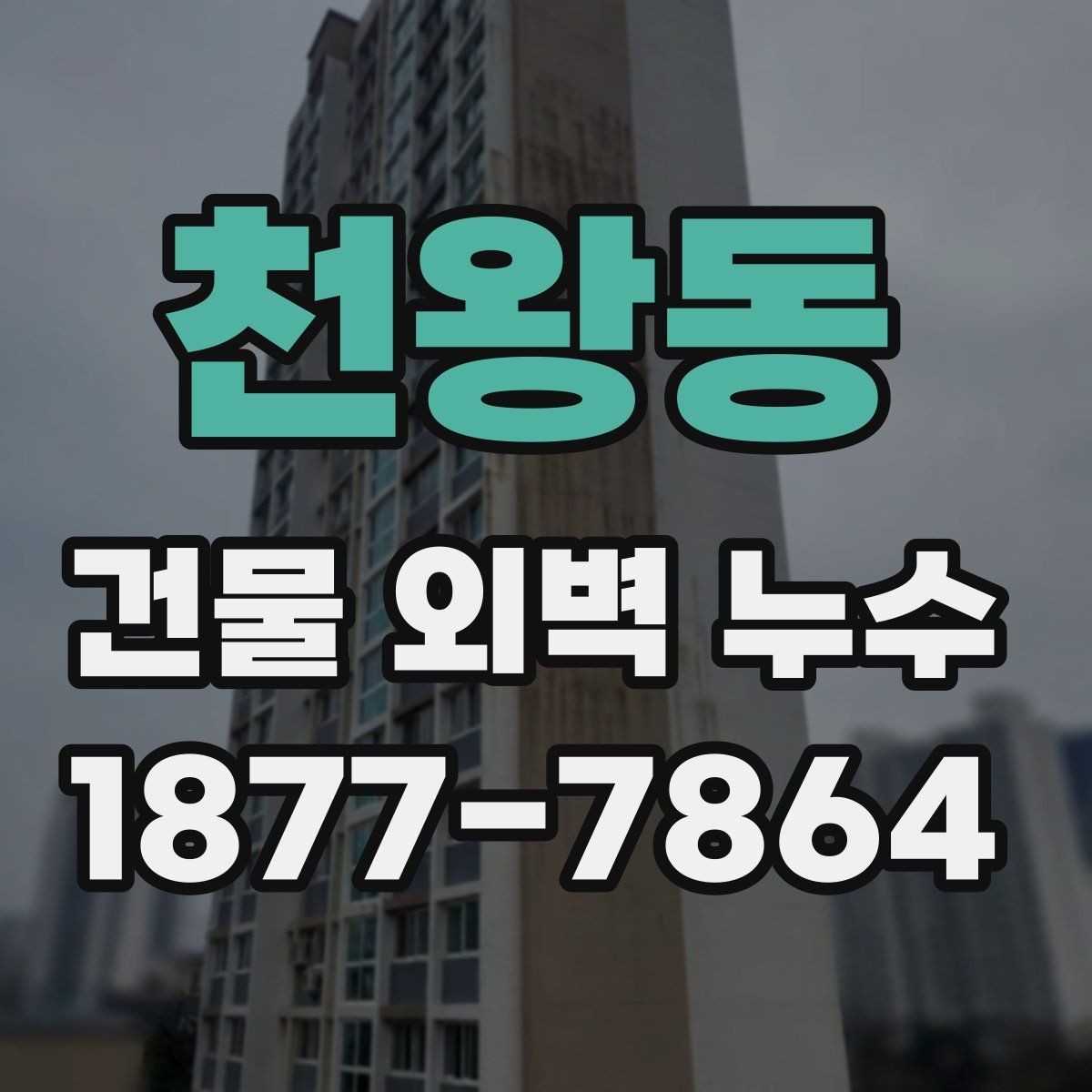 천왕동 건물 외벽 누수 방치하면 생길 수 있는 일