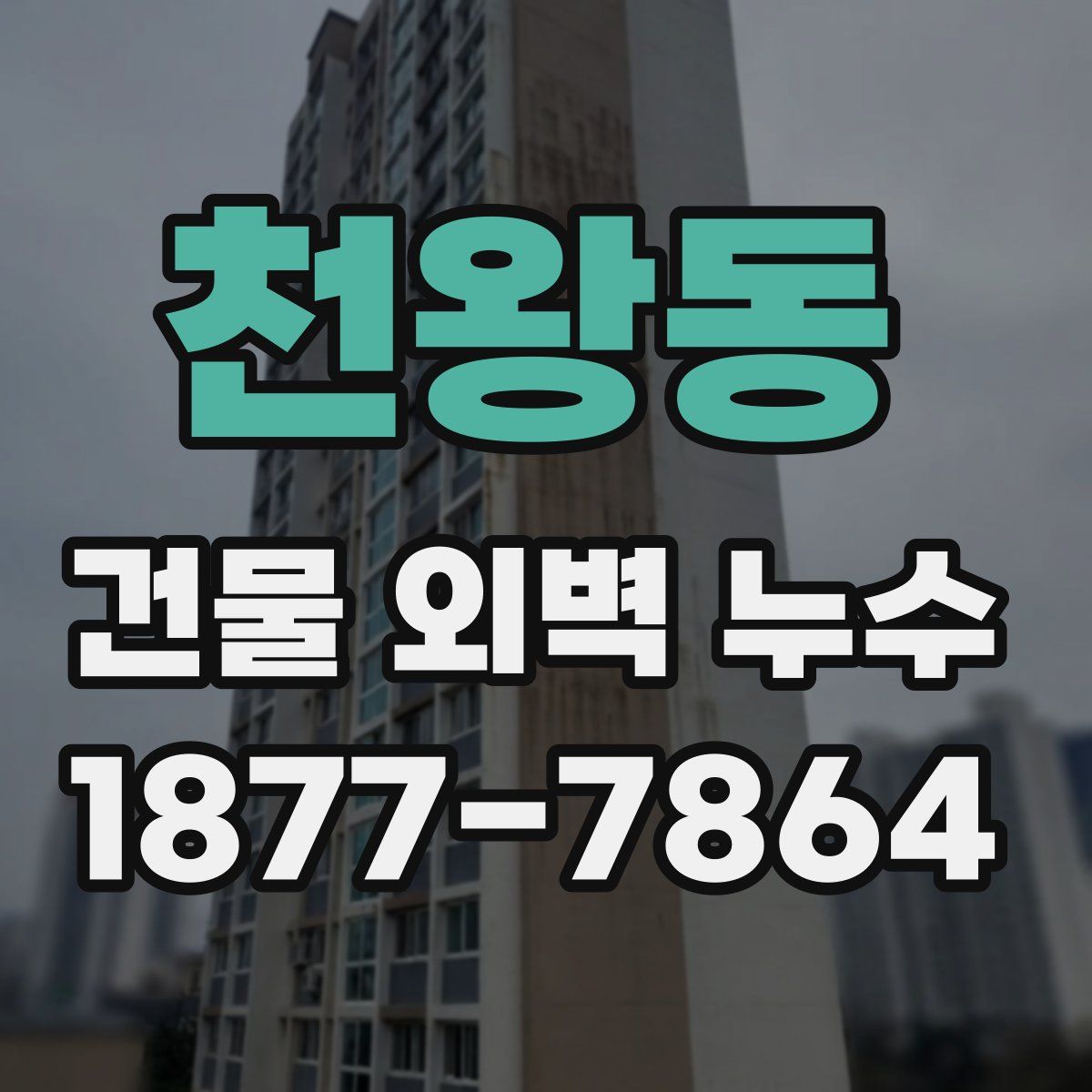 천왕동 건물 외벽 누수