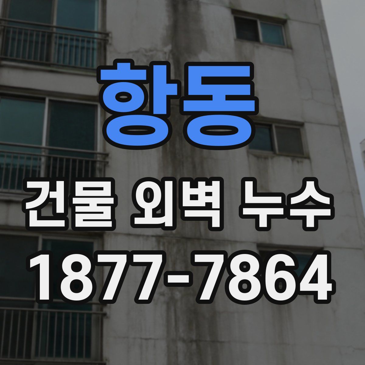항동 건물 외벽 누수