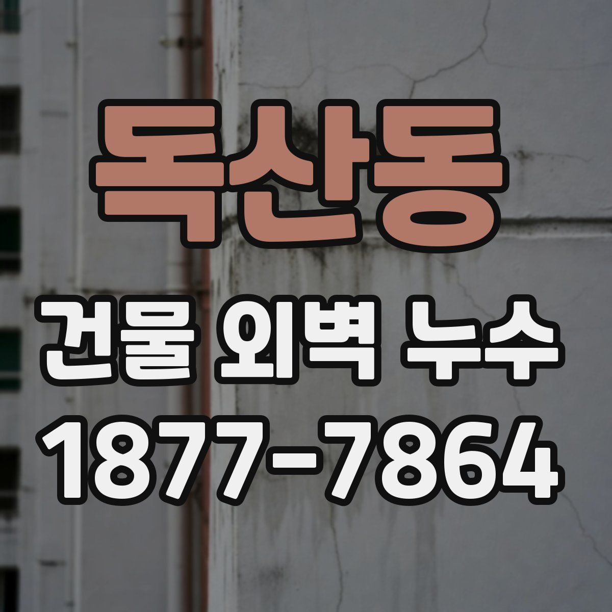 독산동 건물 외벽 누수
