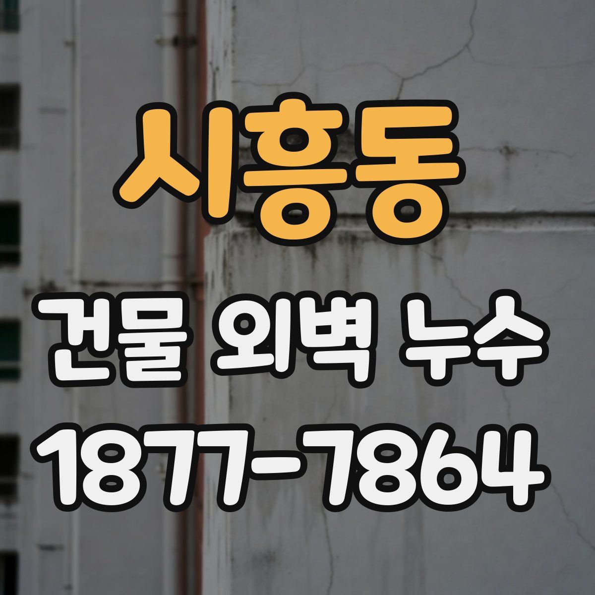 시흥동 건물 외벽 누수