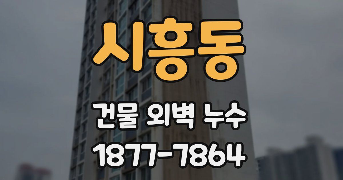 시흥동 건물 외벽 누수