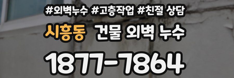 시흥동 건물 외벽 누수