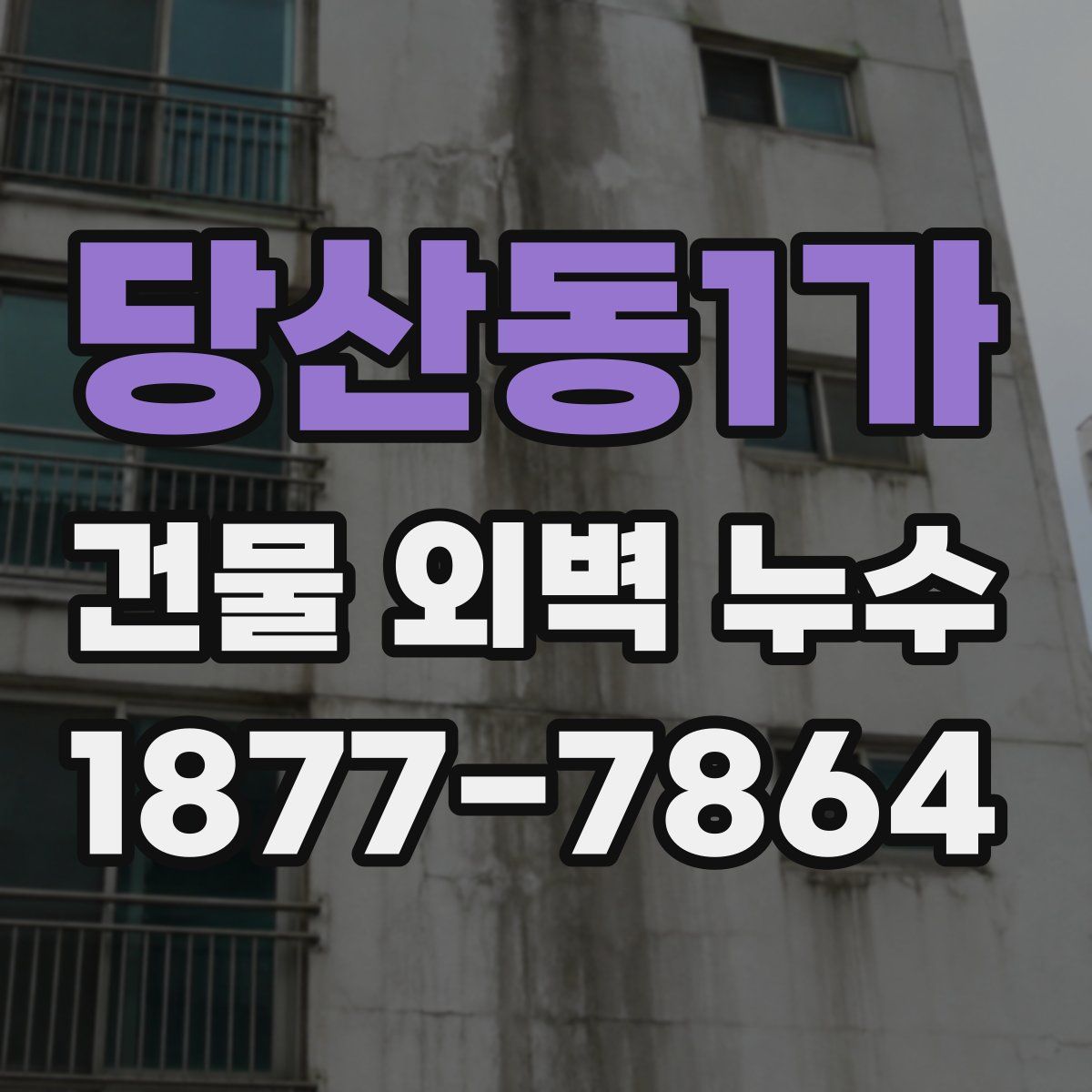 당산동1가 건물 외벽 누수