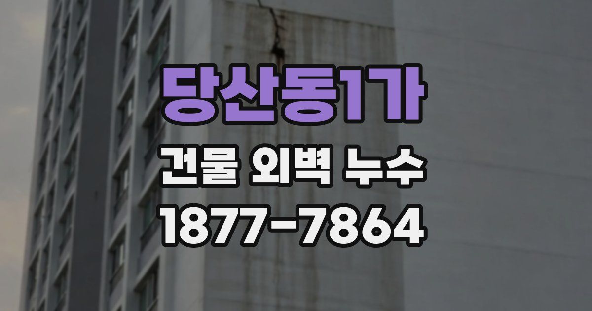 당산동1가 건물 외벽 누수