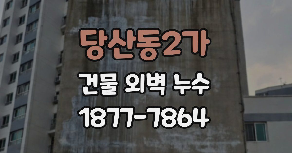당산동2가 건물 외벽 누수