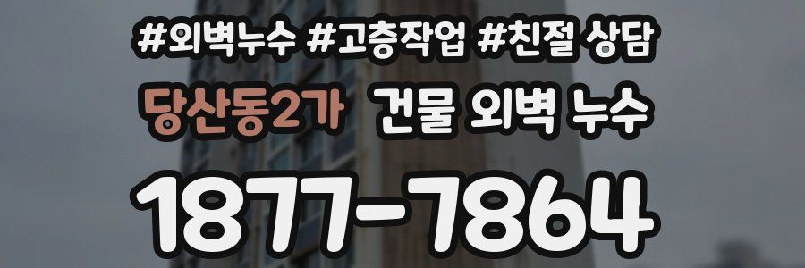 당산동2가 건물 외벽 누수