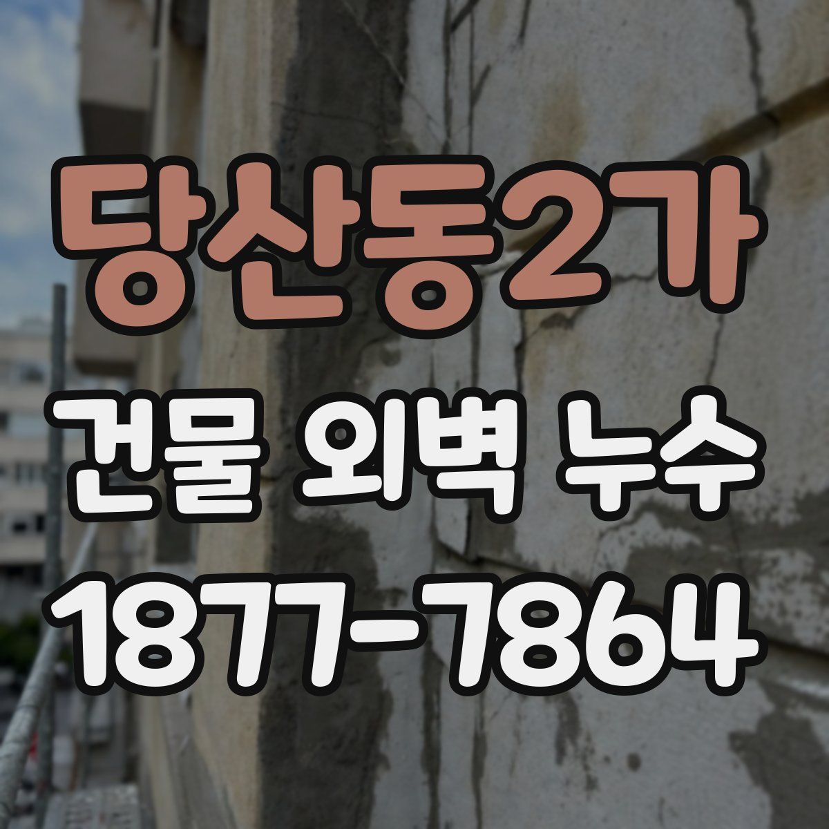 당산동2가 건물 외벽 누수