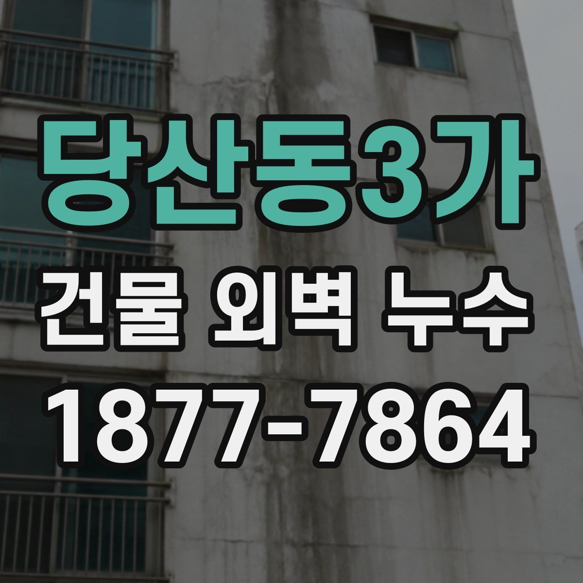 당산동3가 건물 외벽 누수