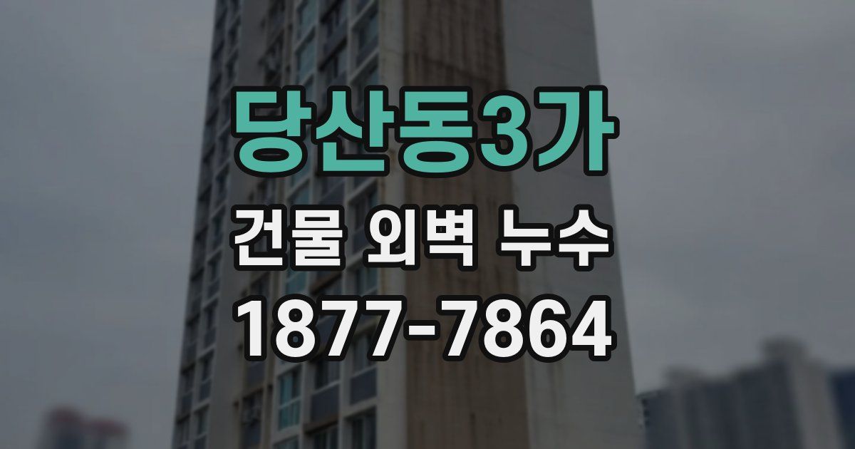 당산동3가 건물 외벽 누수
