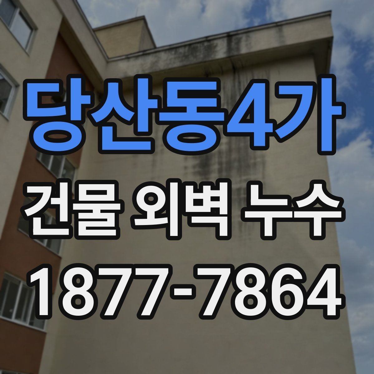 당산동4가 건물 외벽 누수 보수 비용 산정의 기준 요소