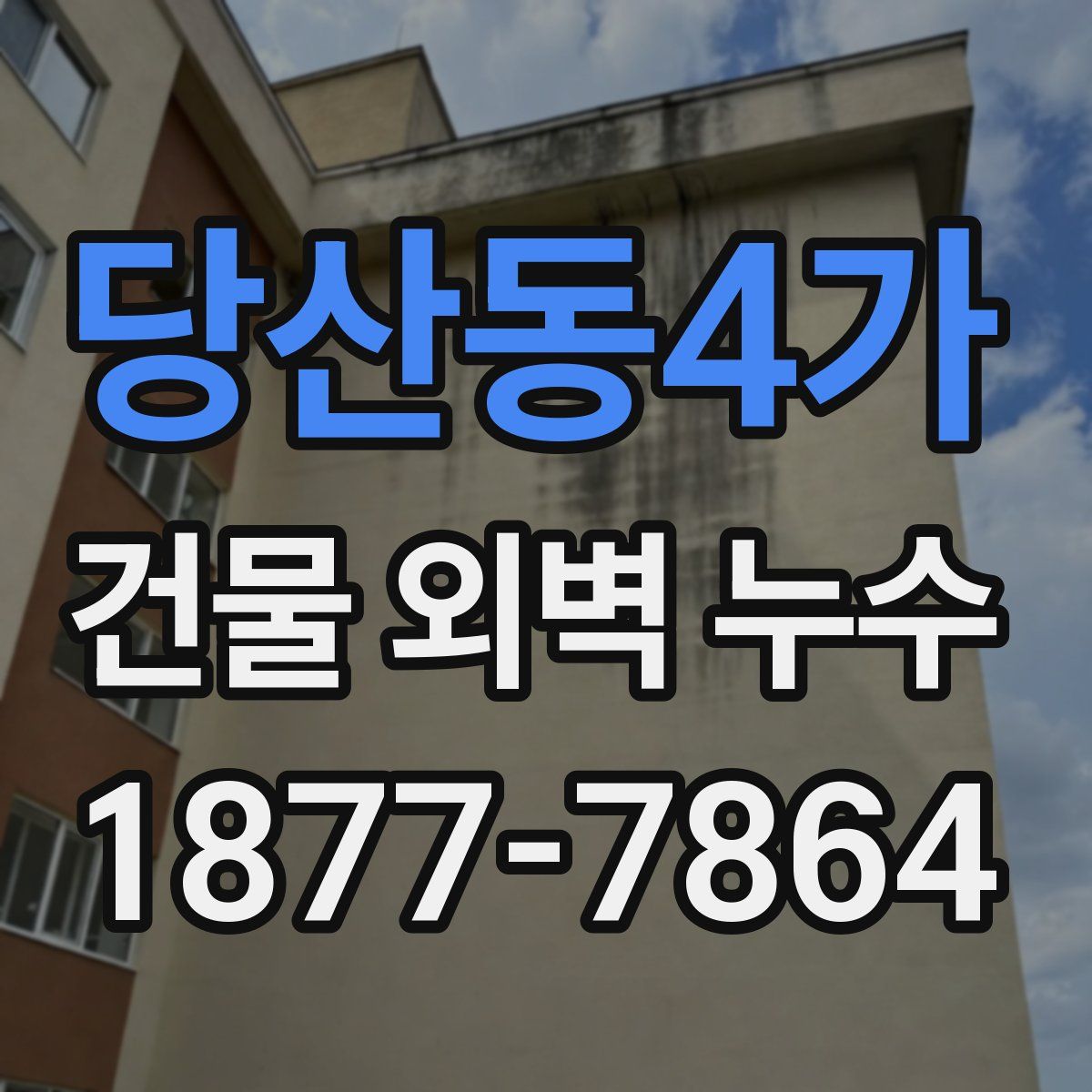 당산동4가 건물 외벽 누수