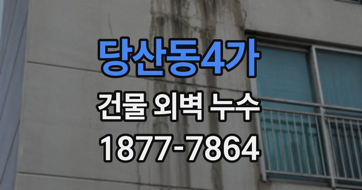 당산동4가 건물 외벽 누수