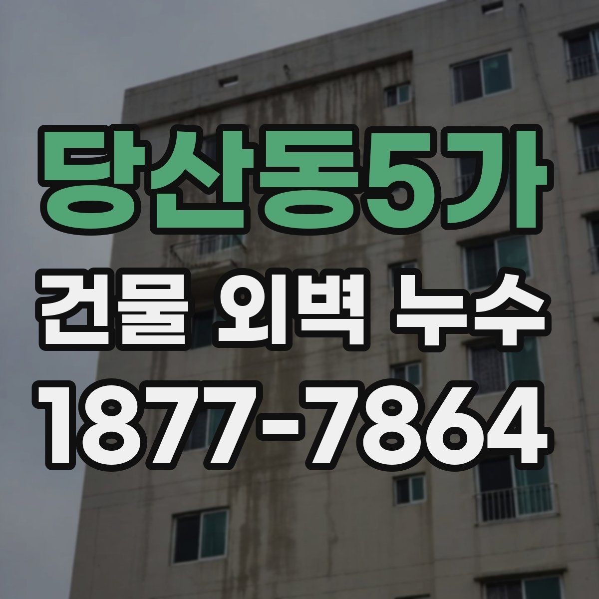 당산동5가 건물 외벽 누수 정밀 점검이 필요한 징후