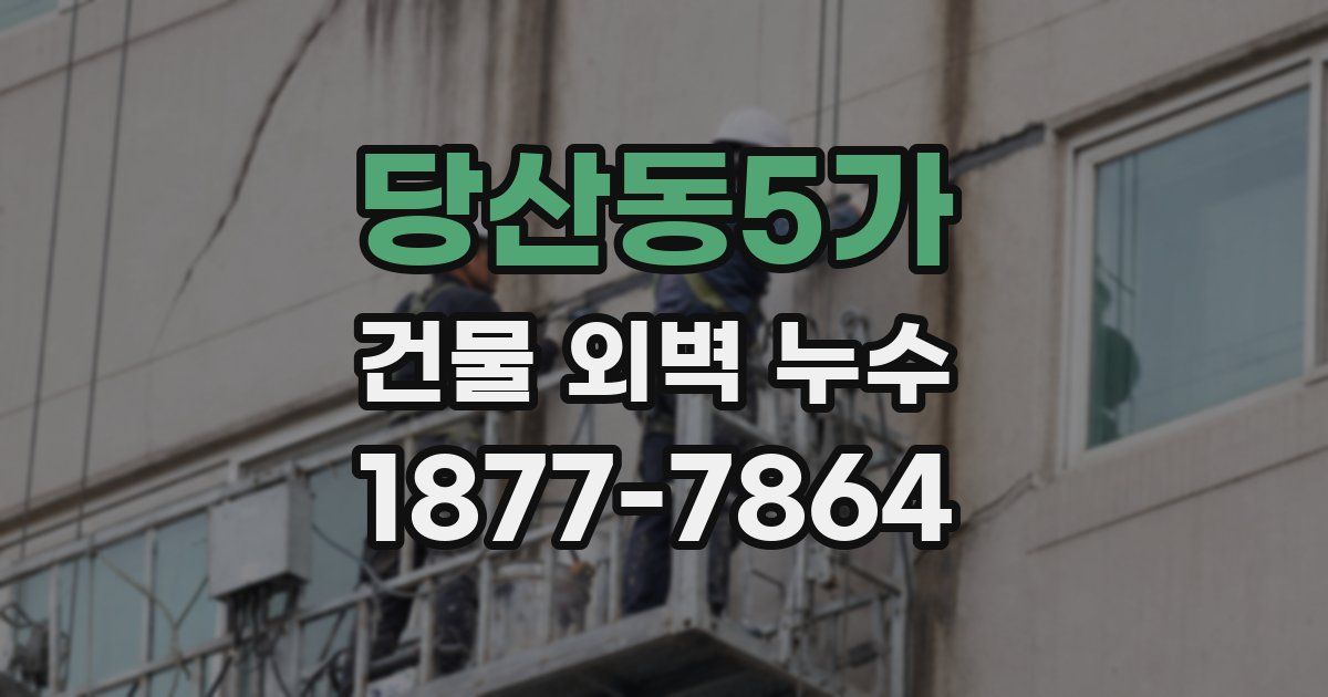 당산동5가 건물 외벽 누수