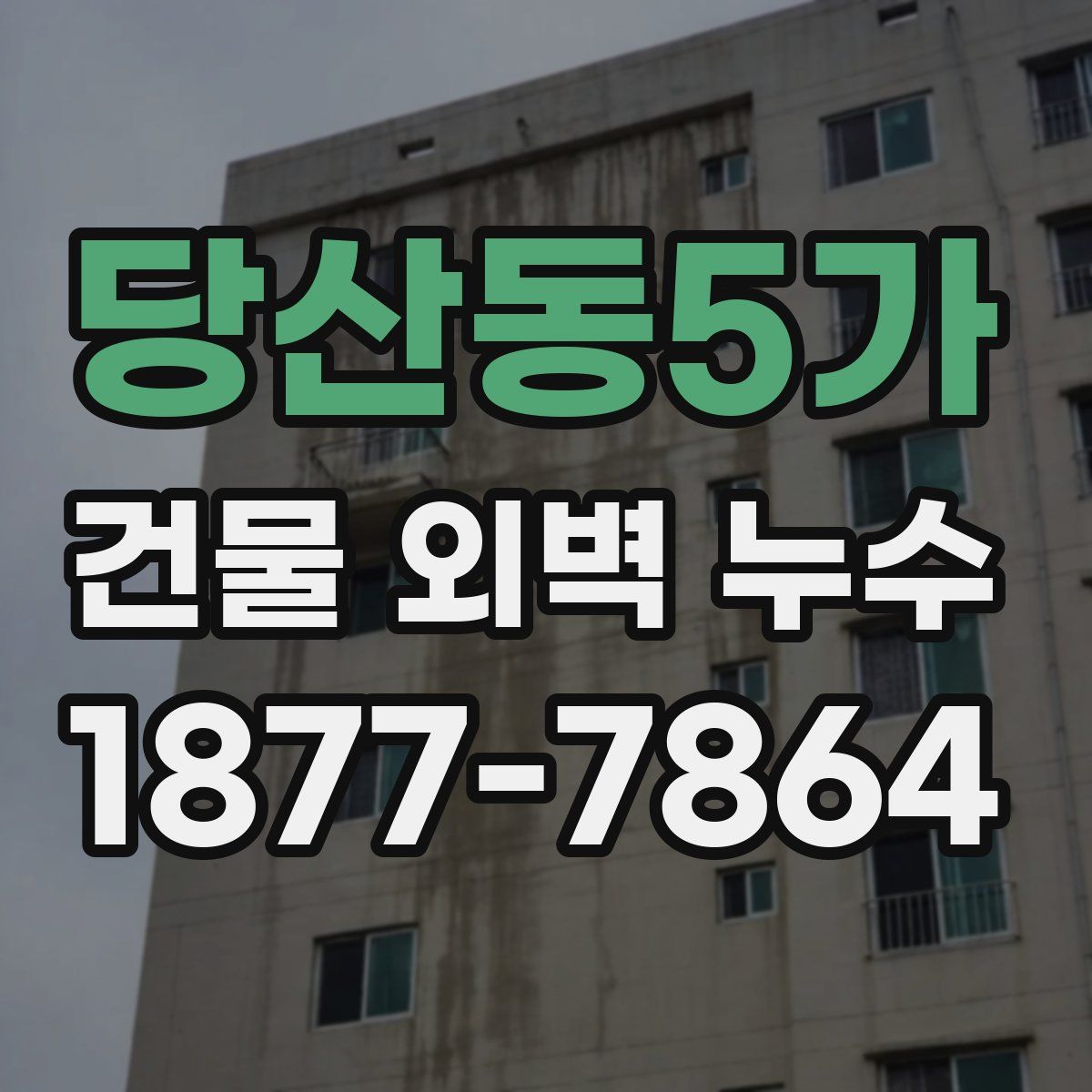 당산동5가 건물 외벽 누수