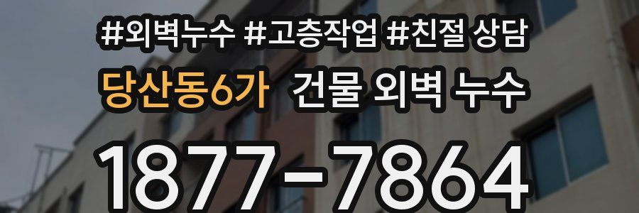 당산동6가 건물 외벽 누수