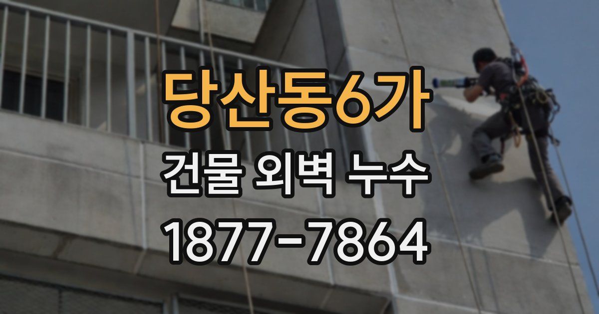 당산동6가 건물 외벽 누수