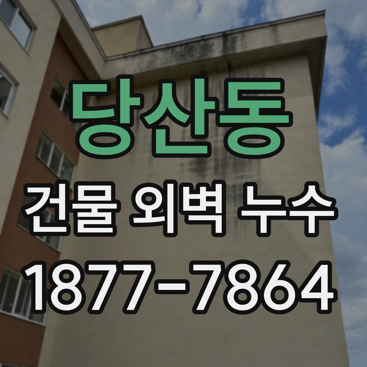 당산동 건물 외벽 누수