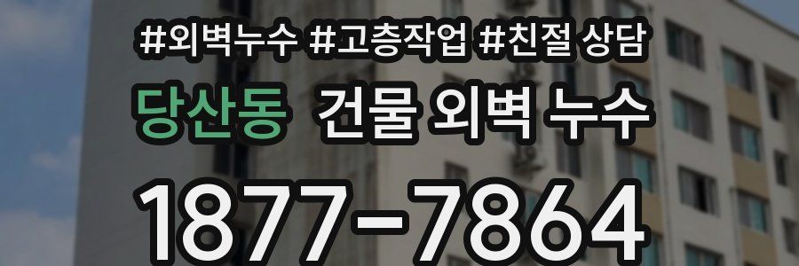 당산동 건물 외벽 누수