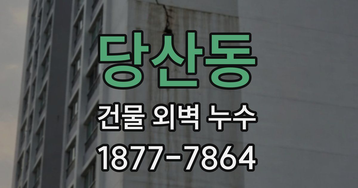 당산동 건물 외벽 누수