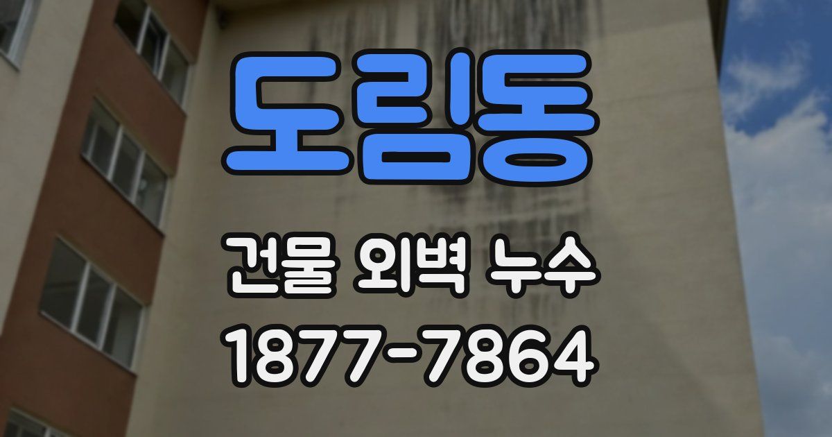 도림동 건물 외벽 누수