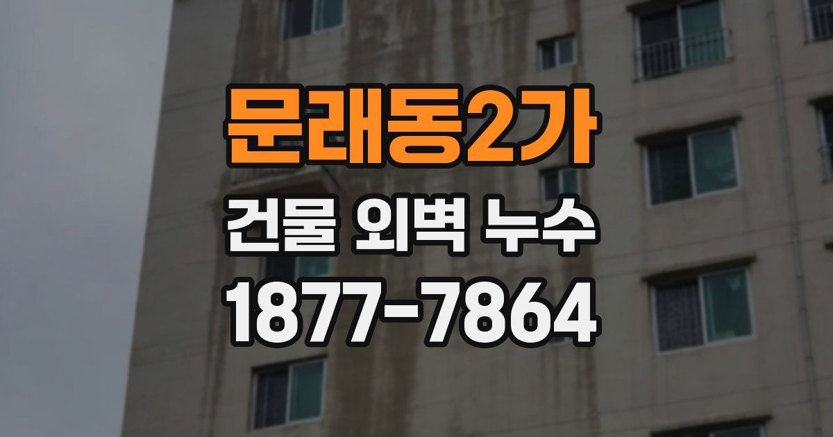 문래동2가 건물 외벽 누수