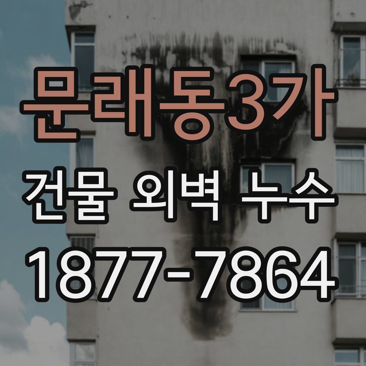 문래동3가 건물 외벽 누수