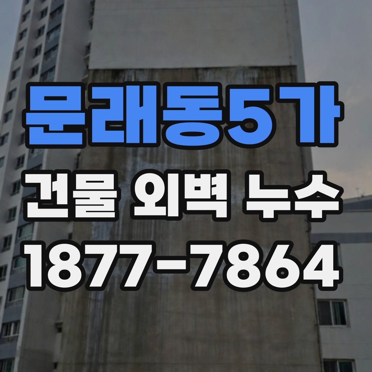문래동5가 건물 외벽 누수