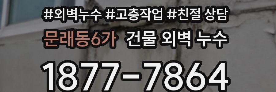 문래동6가 건물 외벽 누수