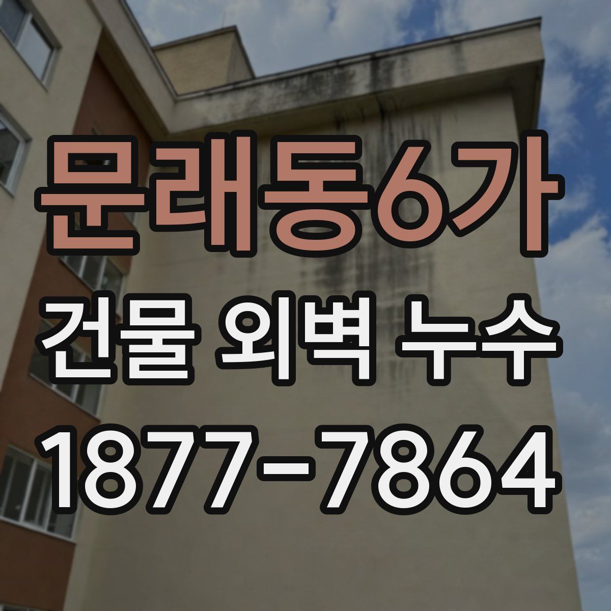 문래동6가 건물 외벽 누수