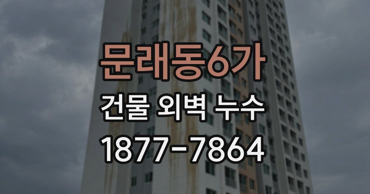 문래동6가 건물 외벽 누수