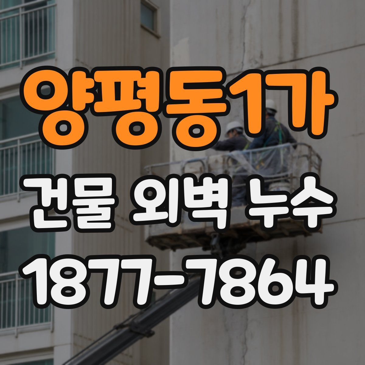 양평동1가 건물 외벽 누수