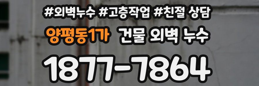 양평동1가 건물 외벽 누수