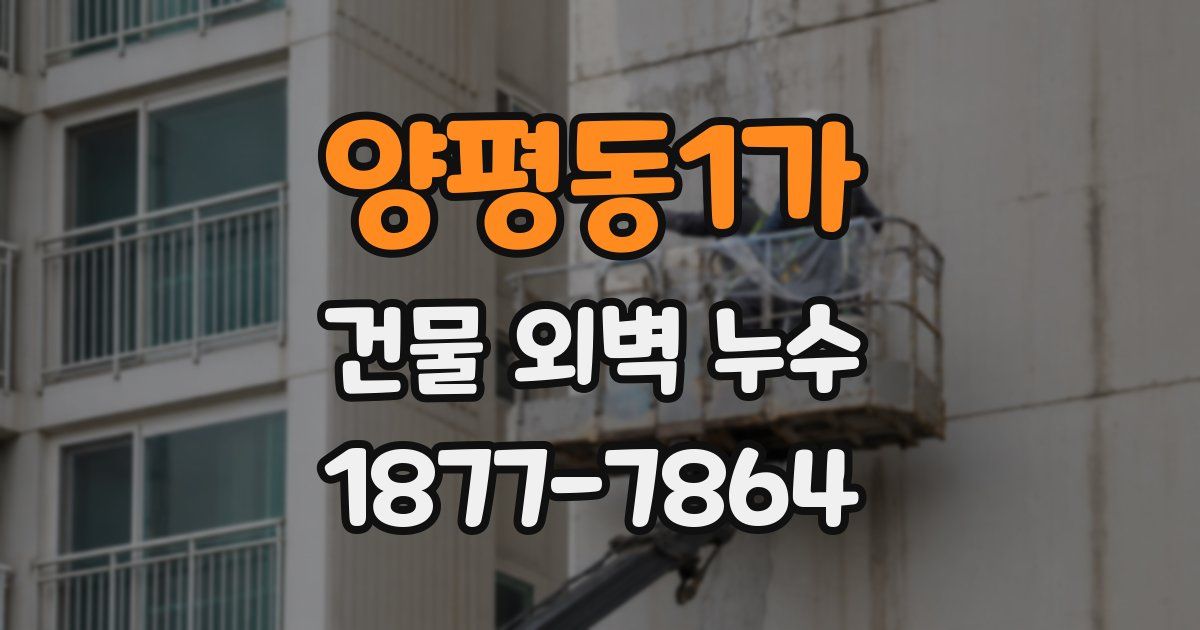 양평동1가 건물 외벽 누수