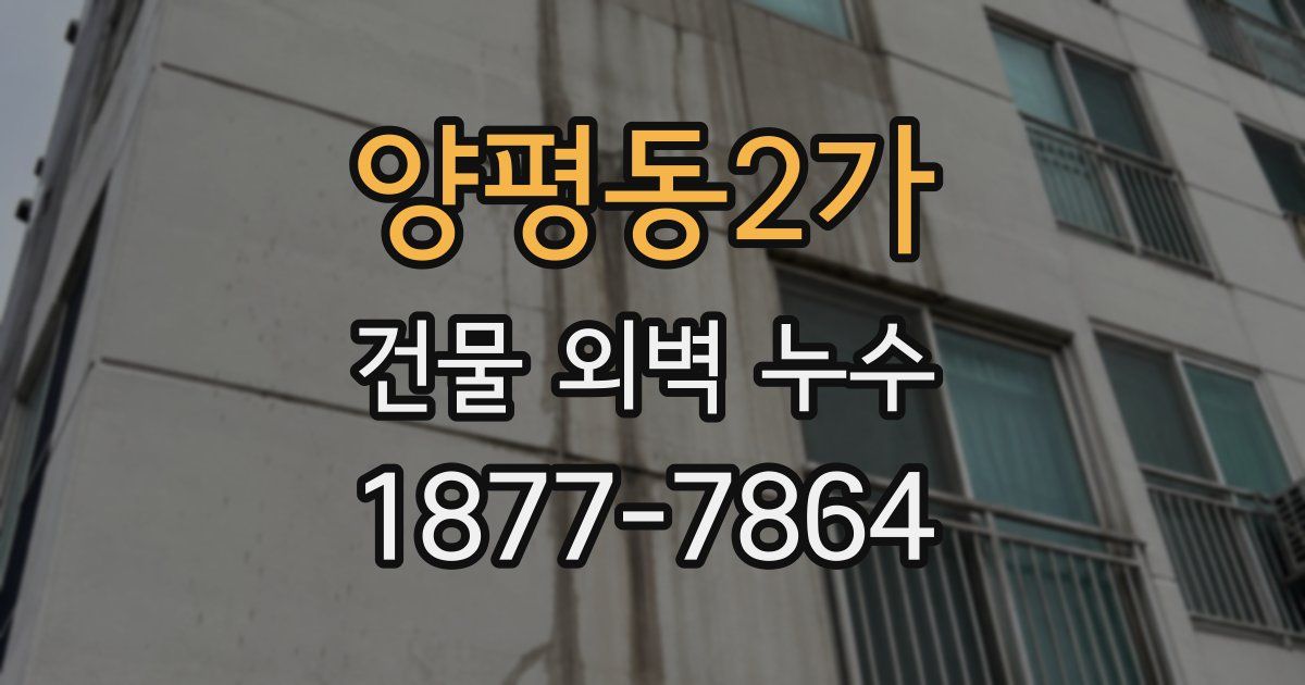 양평동2가 건물 외벽 누수