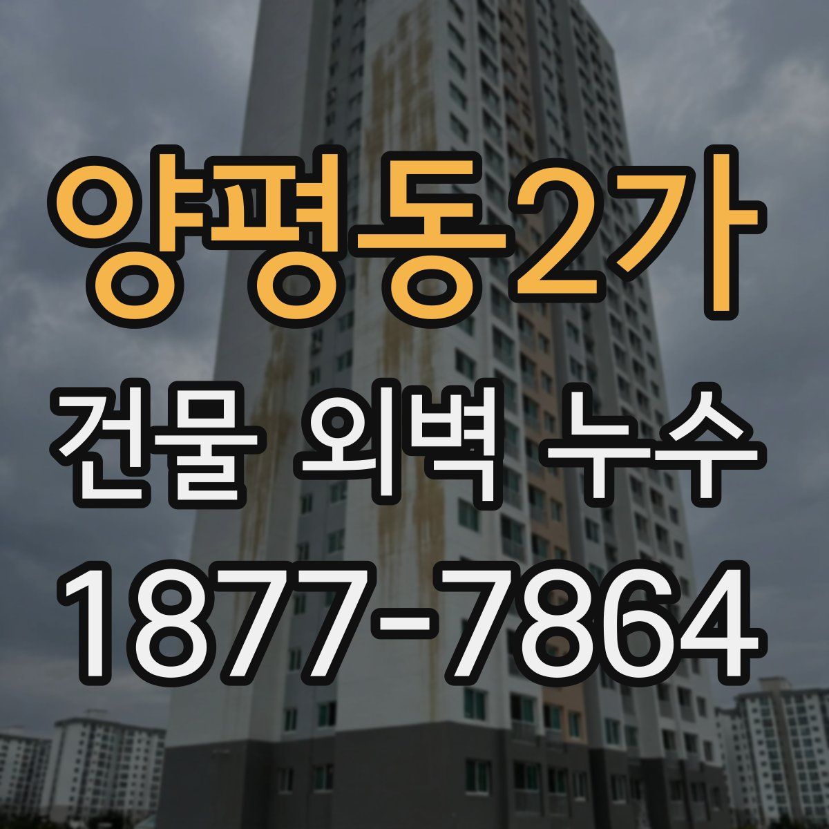 양평동2가 건물 외벽 누수