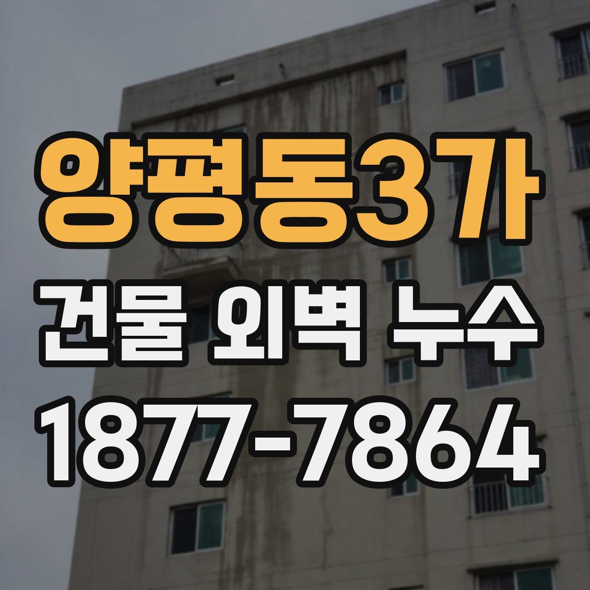 양평동3가 건물 외벽 누수