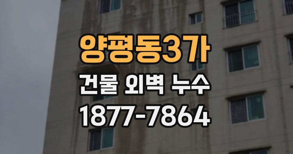 양평동3가 건물 외벽 누수