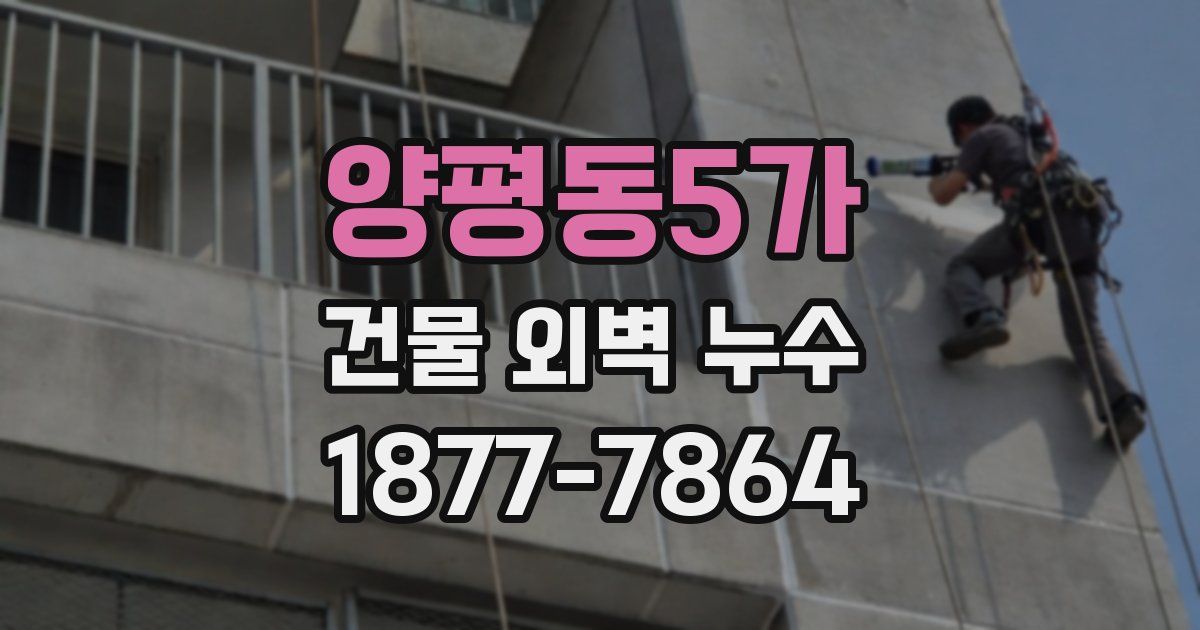 양평동5가 건물 외벽 누수