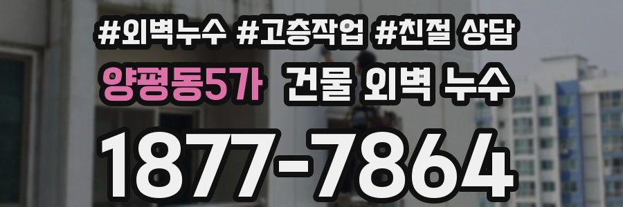 양평동5가 건물 외벽 누수