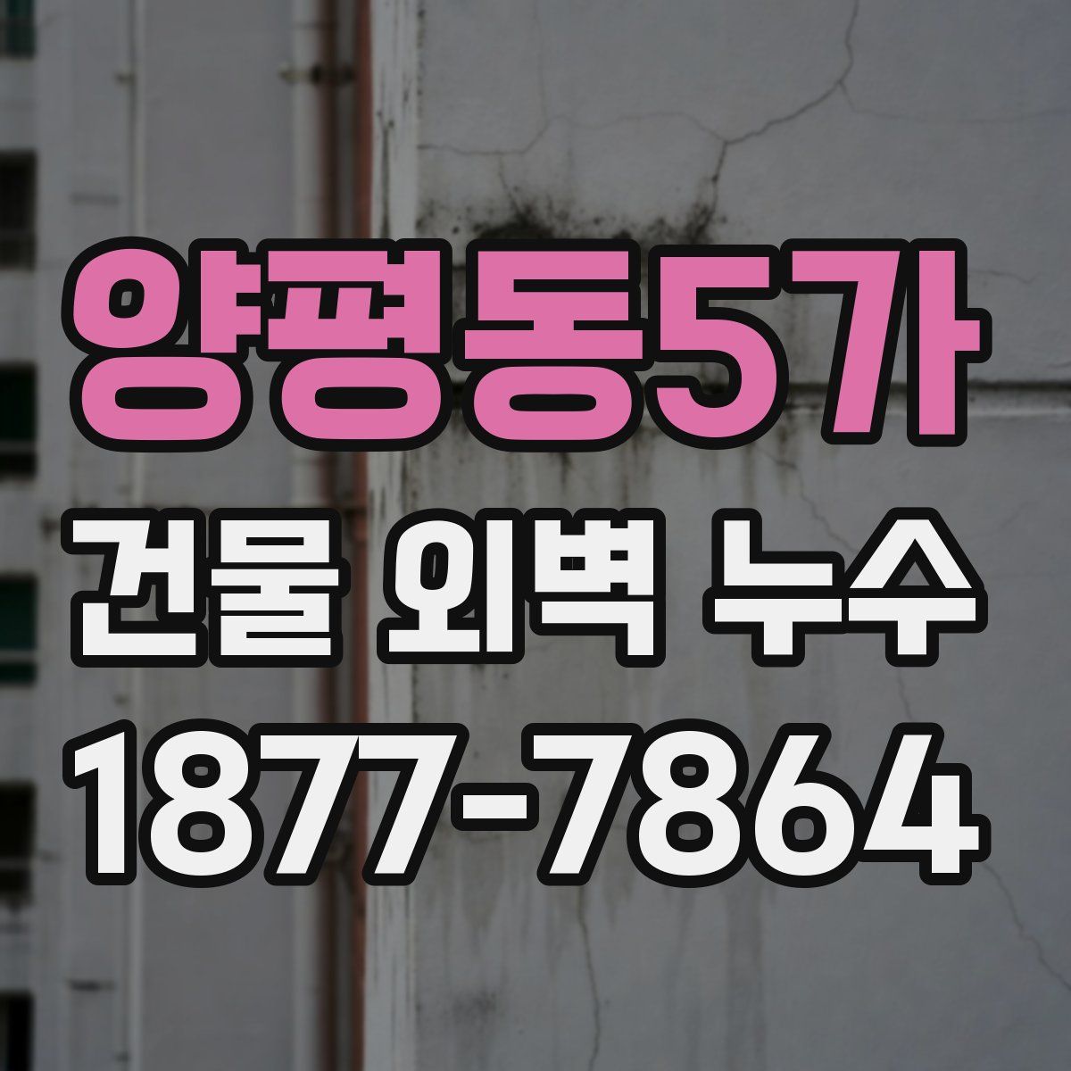 양평동5가 건물 외벽 누수
