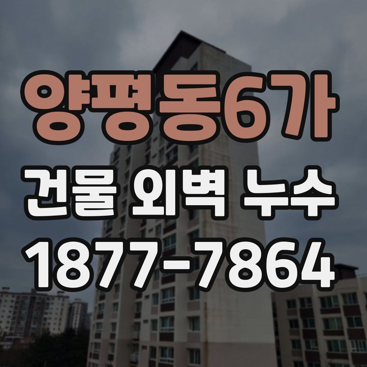 양평동6가 건물 외벽 누수 보수 견적 볼 때 체크할 점