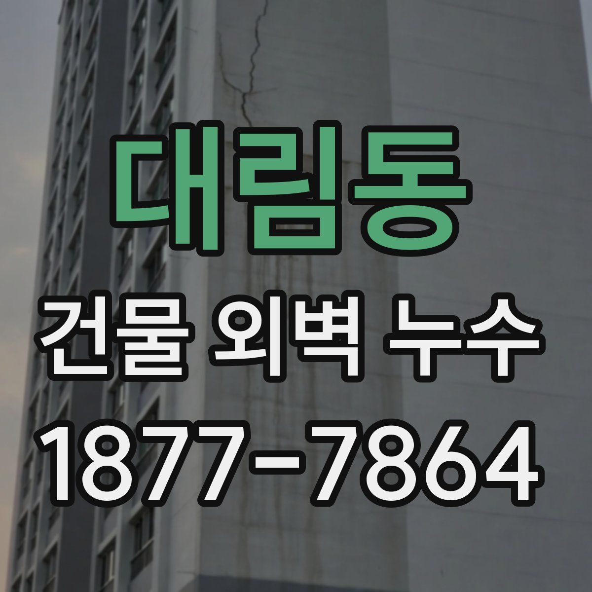 대림동 건물 외벽 누수