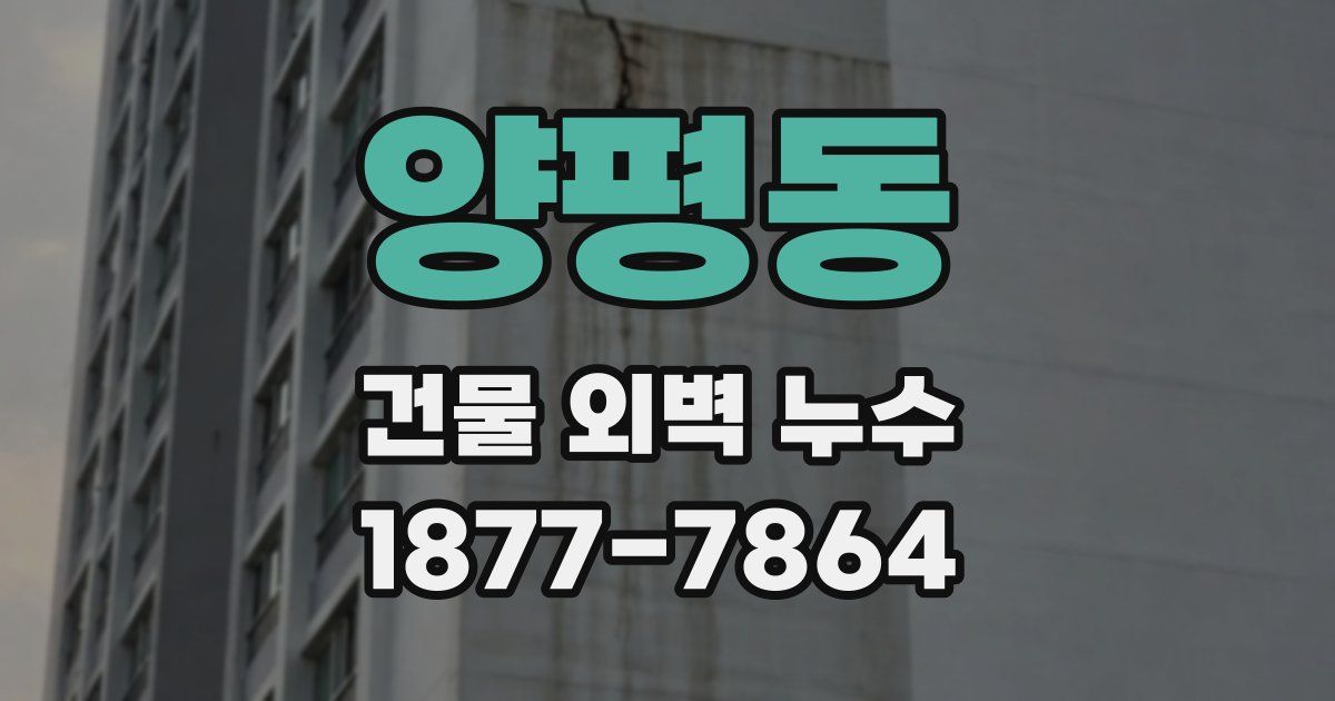 양평동 건물 외벽 누수