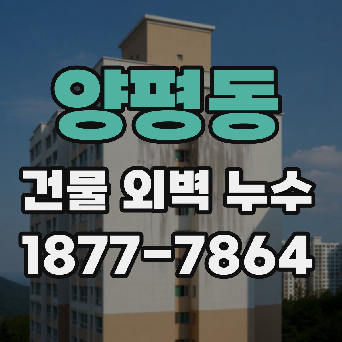 양평동 건물 외벽 누수